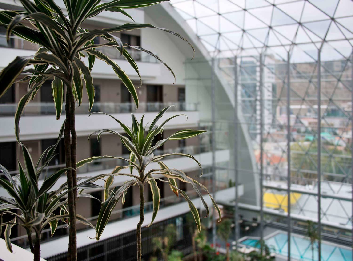 Casa Grande Hotel La Paz Eksteriør bilde